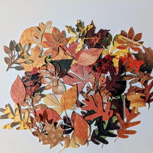 May include: A collection of assorted paper cutouts shaped like autumn leaves in various sizes and designs. The leaves feature a palette of orange, red, brown, yellow, and green, with detailed textures and patterns printed on each individual piece.