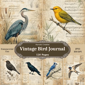 May include: A digital collage sheet titled Narcela Creative Vintage Bird Journal 120 Pages JPEG 300 DPI featuring illustrations of a blue heron, a yellow warbler, a blackbird, a crow, a blue jay, and a swallow over vintage sheet music and maps.