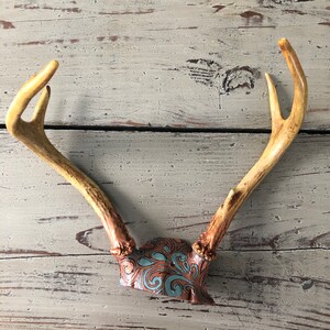 Real Deer Antler Rack Hand Painted Copper and Teal image 4