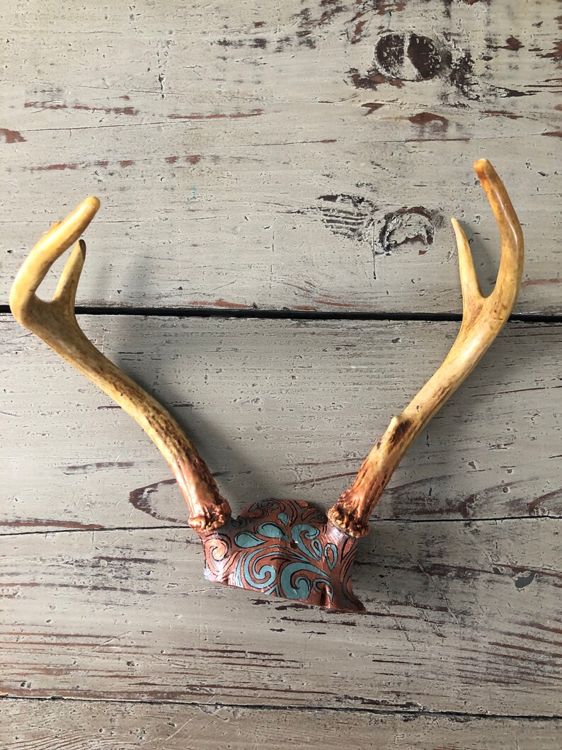 Real Deer Antler Rack Hand Painted Copper and Teal image 4