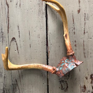 Real Deer Antler Rack Hand Painted Copper and Teal image 1