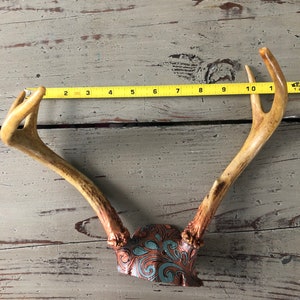 Real Deer Antler Rack Hand Painted Copper and Teal image 3