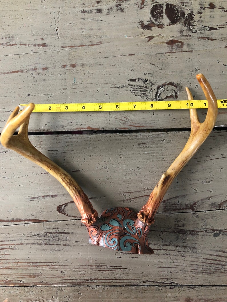 Real Deer Antler Rack Hand Painted Copper and Teal image 3