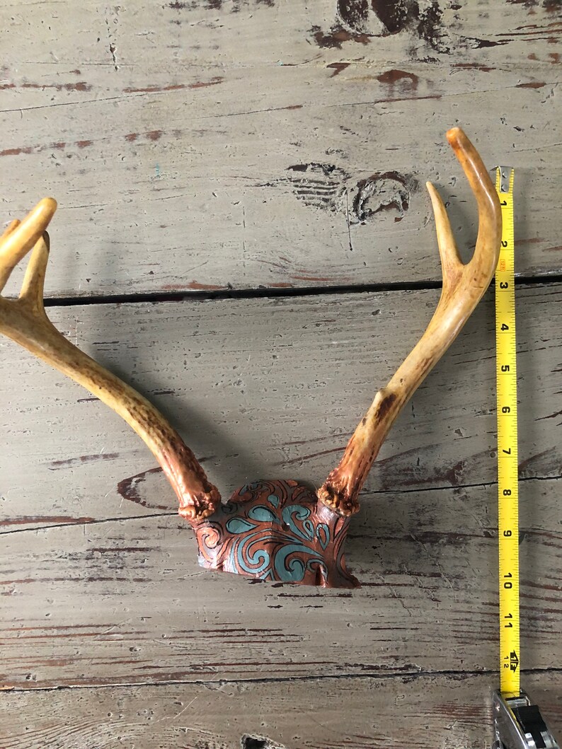 Real Deer Antler Rack Hand Painted Copper and Teal image 2