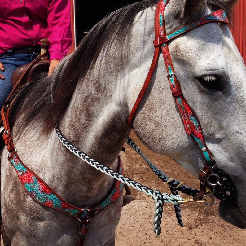 Custom Painted Brow Band Headstall Western Horse Tack image 5