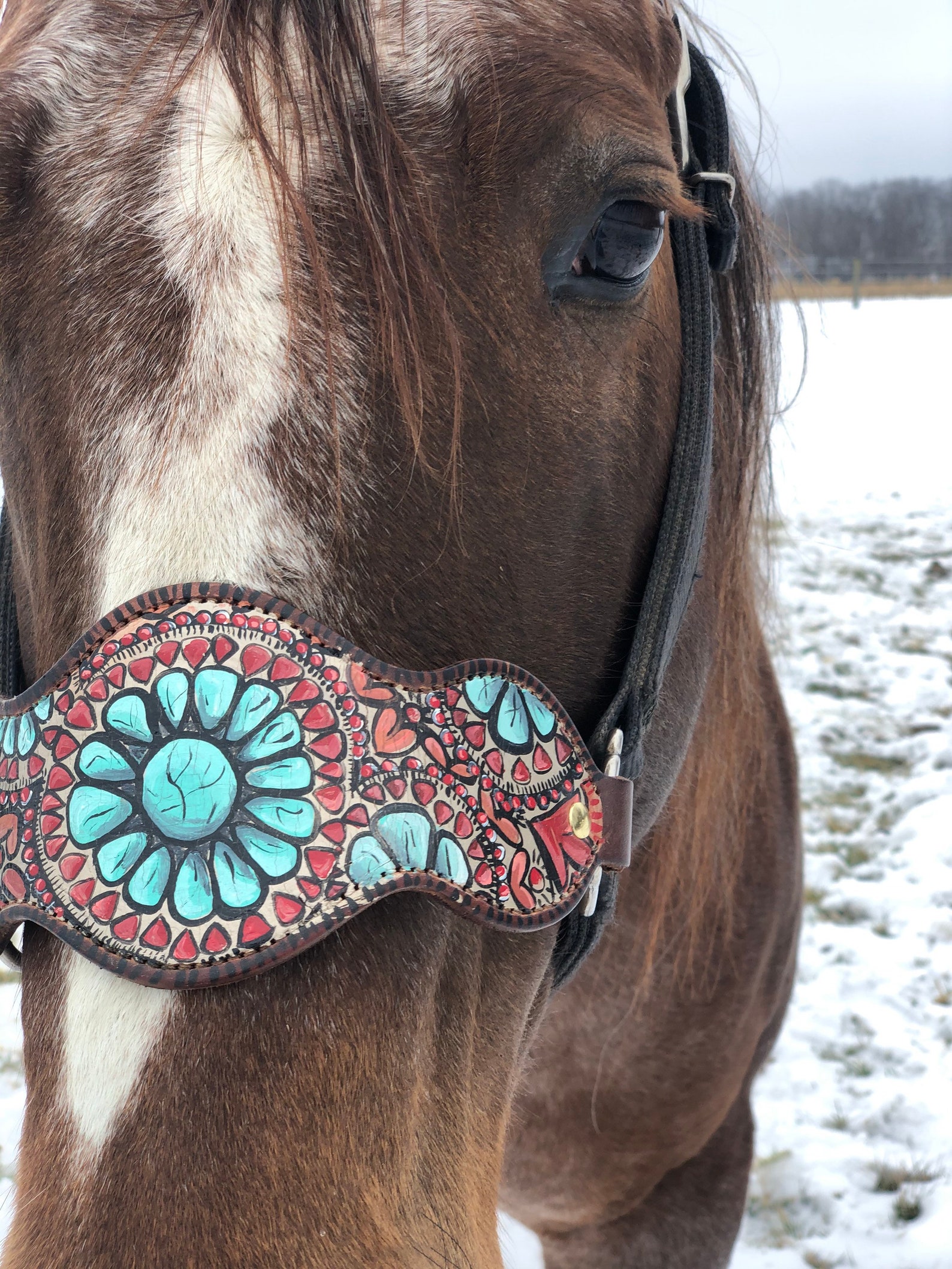 Custom Painted Bronc Noseband Horse Halter Etsy