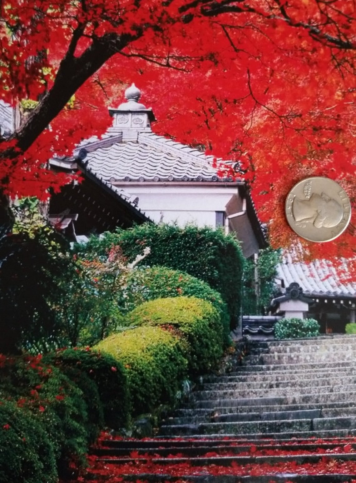 Dollhouse Wallpaper Murals in several styles Etsy