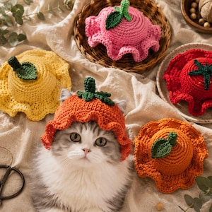 Peut inclure: Une collection de cinq chapeaux crochetés pour animaux, chacun en forme de fruit ou de légume avec une tige verte et une feuille. Les chapeaux sont roses, jaunes, rouges et de deux tons d'orange. Un chapeau orange est porté par un chat gris et blanc.