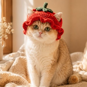 May include: A light-colored cat wearing a bright red crocheted hat shaped like a strawberry. The hat features a ruffled brim and a small green stem and leaf detail on top. The cat has light brown fur and is looking directly toward the camera.