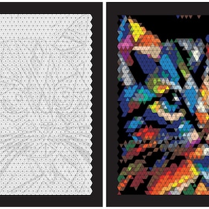 Può includere: Due pannelli rettangolari con bordi neri. Il pannello sinistro presenta una griglia bianca di piccoli triangoli. Il pannello destro mostra un mosaico colorato di un muso di gatto composto da molti piccoli triangoli multicolori su uno sfondo nero.