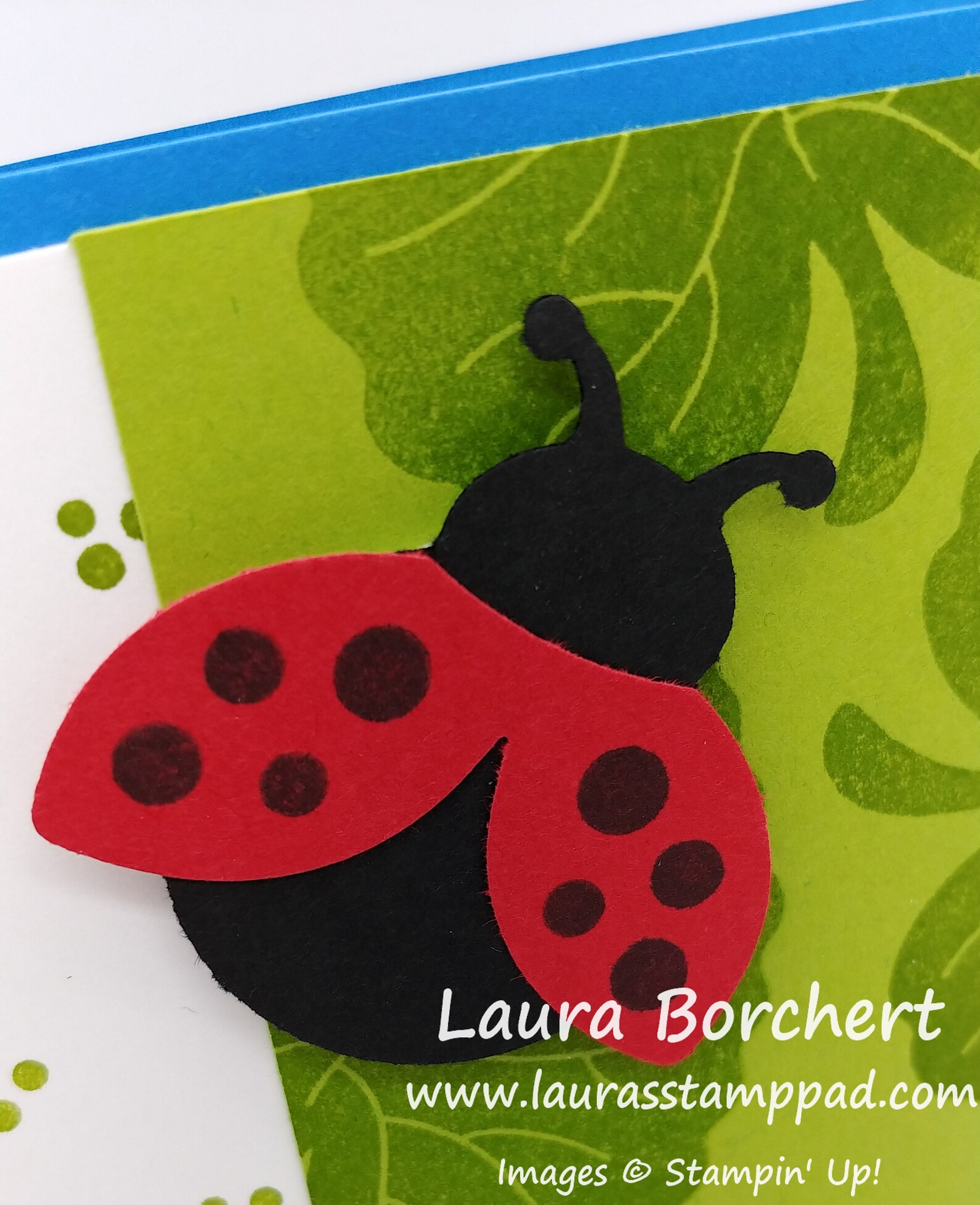 Hello Ladybug Card Tutorial PDF Only - Etsy