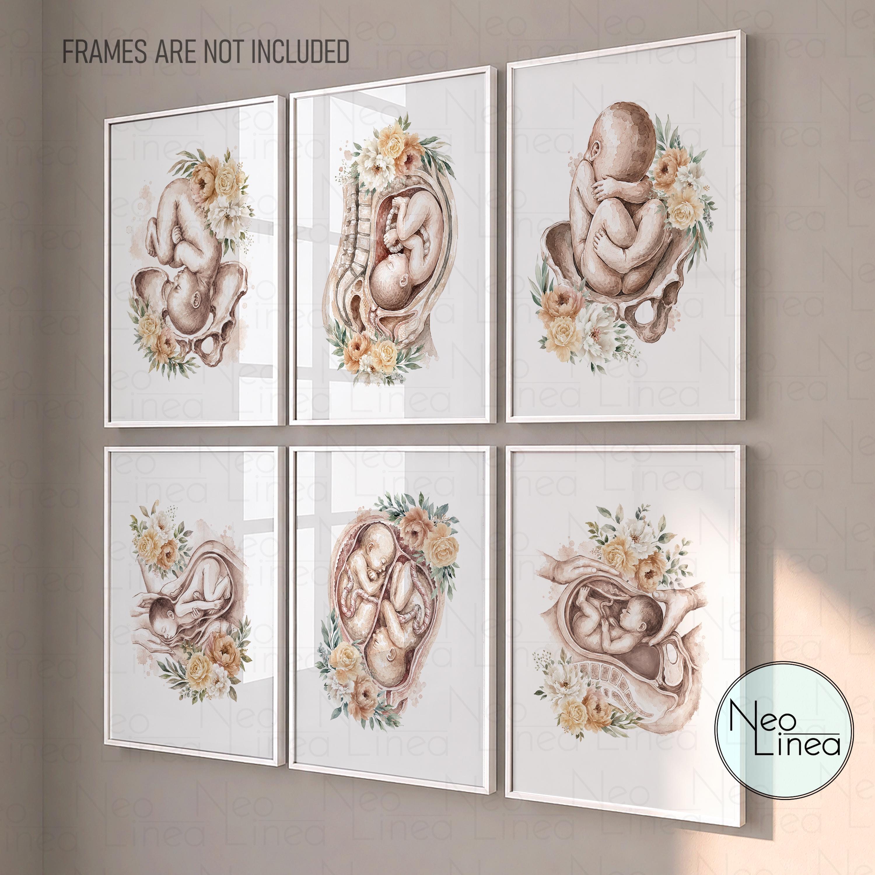 Baby in Womb Poster - Etsy