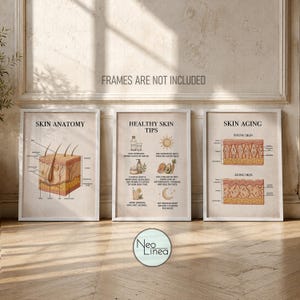 Skin Anatomy Poster Set, Healthy Skin Guide, Skin Aging Chart,  Med Spa Wall Art, Dermatology Clinic Prints (unframed)