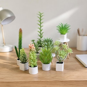 Miniature Potted Plant, 1:12 Scale Dollhouse Succulent and Cactus in White Pot, Tiny Greenery Decor for Living Room Office