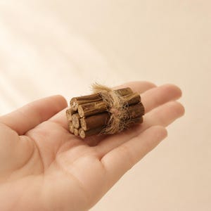 Peut inclure: Un petit faisceau de sept bâtonnets de bois cylindriques, courts et bruns, disposés en groupe et maintenus ensemble au centre par un morceau de ficelle en fibre naturelle fine et brun clair, noué simplement autour du milieu des bâtonnets.
