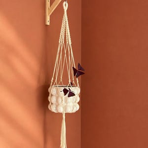 Könnte beinhalten: Ein cremefarbener Makramee-Pflanzenhänger mit geknotetem Design, der einen weißen Keramiktopf mit texturierter Noppenoberfläche hält. Der Hänger ist an einem hellen Holzwandhalter befestigt und enthält eine Pflanze mit dunkelvioletten Blättern.