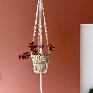 Peut inclure: Un support de plante en macramé de couleur crème avec des motifs de nœuds complexes et une boucle supérieure pour la suspension. Le support contient un panier en jonc de mer tressé avec une plante aux feuilles triangulaires violet foncé.