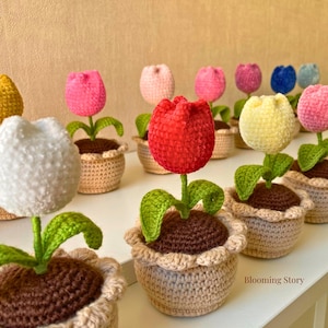 Peut inclure: Une collection de tulipes au crochet de différentes couleurs, dont rouge, jaune, rose et blanc, chacune plantée dans un petit pot beige au crochet avec une base de terre brune et des feuilles vertes. Le texte Blooming Story est visible.