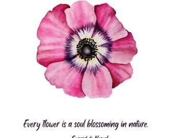 Nature Cards with Quotations