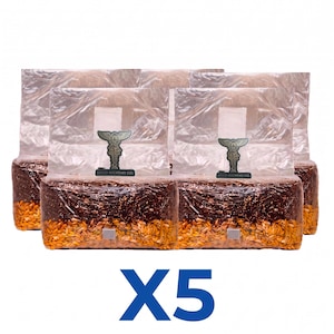 May include: A set of five clear plastic mushroom spawn bags filled with a dark substrate and golden grain at the bottom. Each bag features a rectangular filter patch and a dark green label with a winged emblem and the text Myco Alchemy Co.