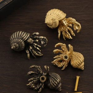 Brass Hermit Crab Cabinet Knob, Ocean Animal Drawer Pull, Coastal Handle