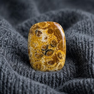 Könnte beinhalten: Ein polierter, ovaler Korallenfossil-Cabochon in warmen goldbraunen Farbtönen mit komplizierten, sternartigen Mustern auf dem gesamten Stein. Die Oberfläche ist glatt und glänzend und hebt die natürlichen organischen Texturen des Fossils hervor.