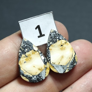 May include: Two teardrop-shaped cabochons featuring a cream-colored center with dendritic inclusions surrounded by a dark gray and black matrix. A small white paper tag with the number 1 printed in black is positioned behind the stones.