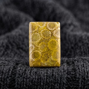 Könnte beinhalten: Ein rechteckiger Cabochon mit einem versteinerten Korallenmuster und einer polierten Oberfläche. Der Stein zeigt eine lebendige Farbpalette in Senfgelb und Goldbraun mit komplizierten, kreisförmigen, sternartigen Fossilstrukturen.
