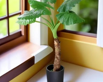 Giant Alocasia Macrorrhizos Bare Root Plant | Tropical Elephant Ear Foliage Home Décor