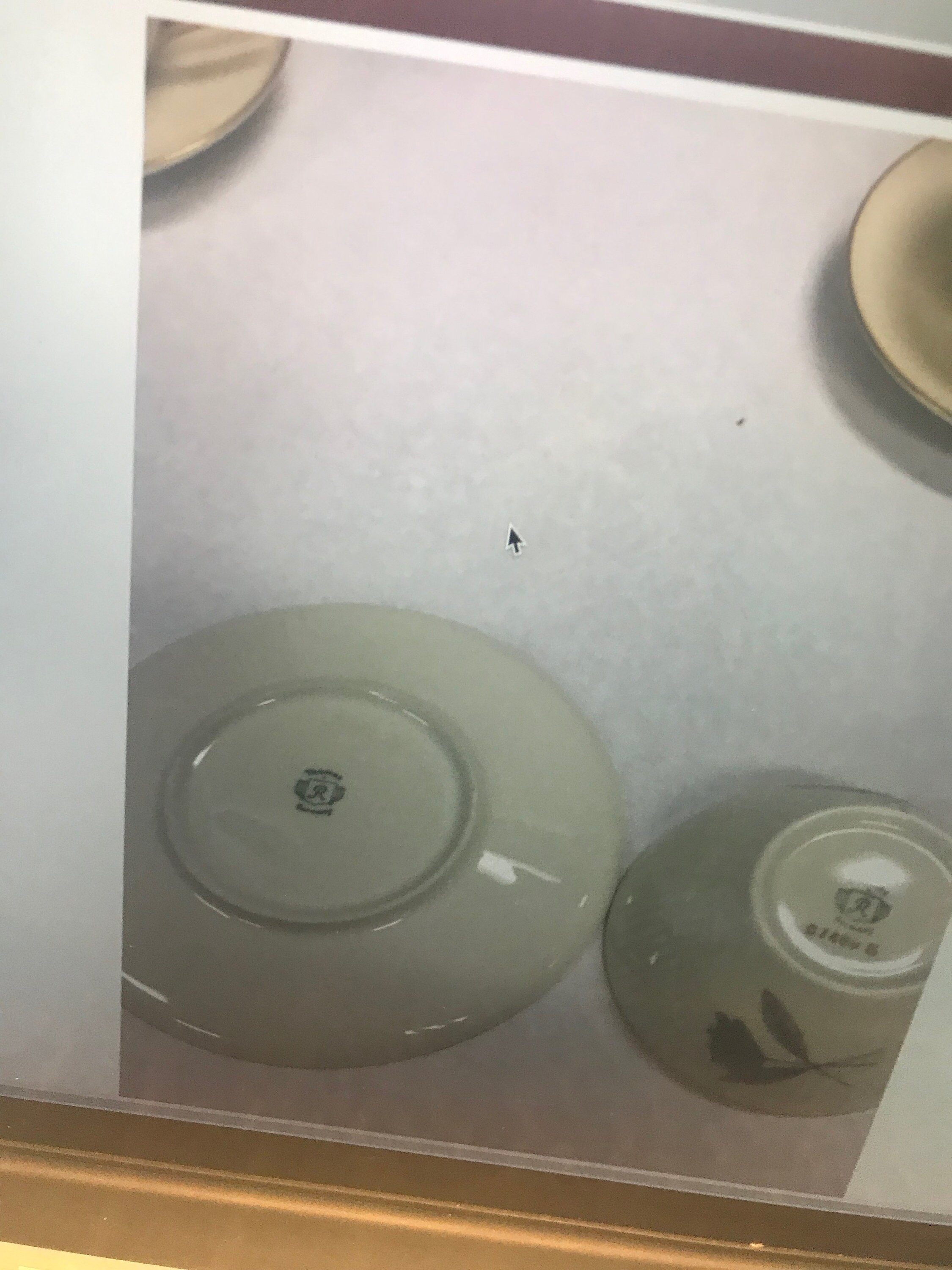 VINTAGE Thomas Germany China Lot 14 Pcs. Flower Cup Saucer Plate Mid