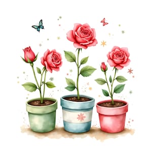 25 JPG Watercolor Red Rose Pots Clipart Bundle, Rustic Garden Roses Leaves Botanical Flower Planters Art Digital Download Commercial Use JPG