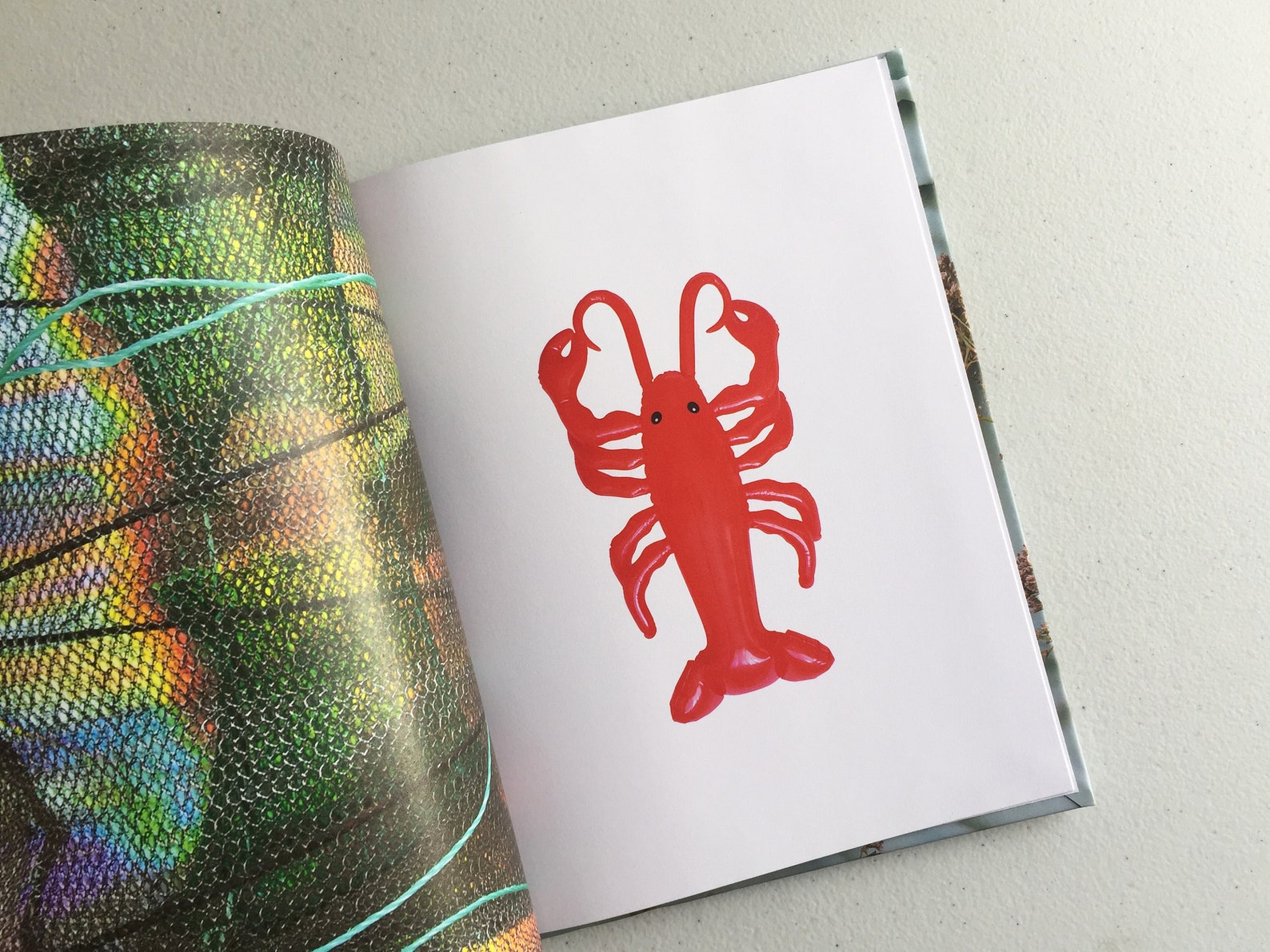 Lobsters Live Forever Hardcover Coffee Table Book Art Etsy