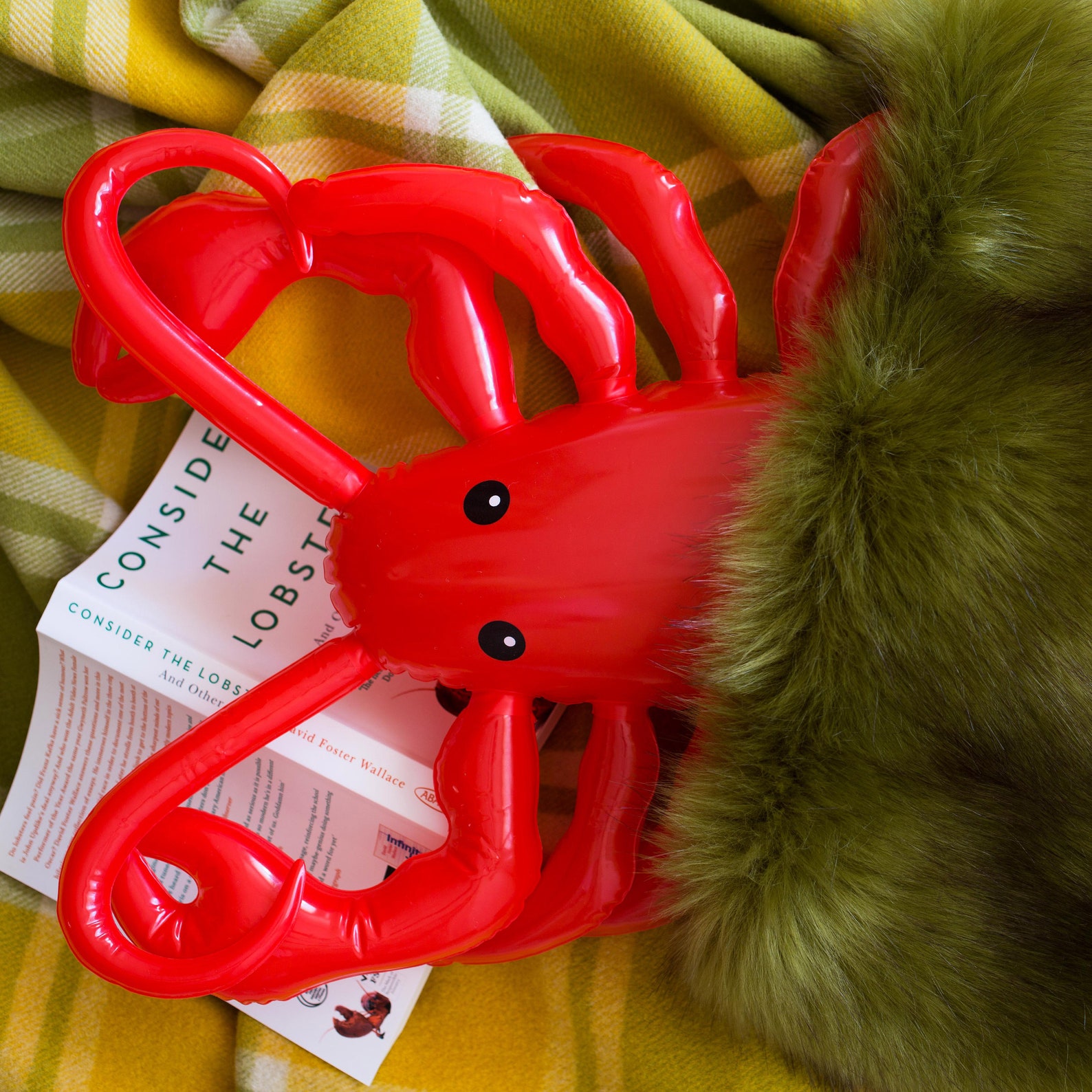 Lobsters Live Forever Hardcover Coffee Table Book Art Etsy