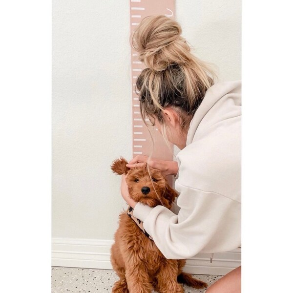 Personalized Chart - Etsy