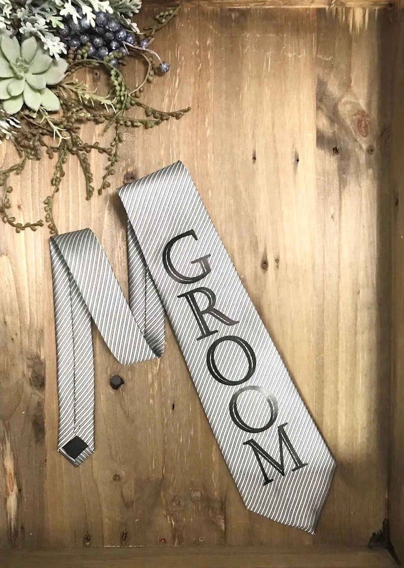 CLEARANCE Bachelor Party Tie Grooms Tie Future Groom Tie Bachelor Party Accessories image 1