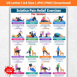 May include: A digital chart titled Sciatica Pain Relief Exercises For Seniors featuring sixteen illustrated steps with text instructions for various stretches and movements, including knee to chest, pelvic tilt, and leg extensions.