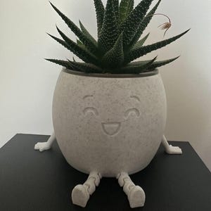 Peut inclure: Une plante succulente Haworthia aux feuilles pointues vert foncé tachetées de blanc est placée dans un pot rond blanc cassé moucheté. Le pot présente un visage souriant gravé, deux petits bras sur les côtés et deux jambes articulées.