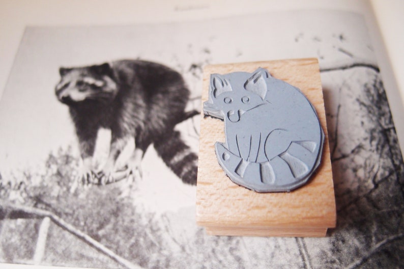 Stempel Waschbär Bild 2