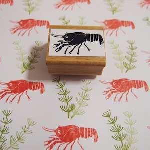 stamp shrimp aka prawn