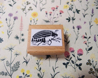 Stamp cockchafer