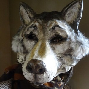 May include: A gray and white wolf mask with fur accents around the ears. The mask is made of paper mache and has realistic details, including a black nose and brown eyes.