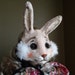 see more listings in the Rabbit Masks section