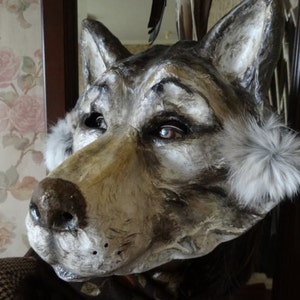 May include: A gray and brown wolf mask with white fur accents around the ears. The mask is made of paper mache and has realistic details, including a painted nose and eyes.