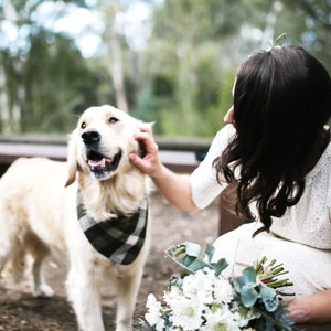 May include: A bride in a white lace dress pets a golden retriever wearing a plaid bandana. The dog is standing on a dirt path with a wooden bench in the background. The bride is holding a bouquet of white flowers and greenery.