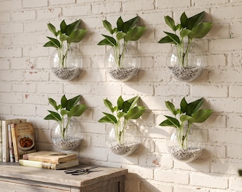 Wall Hanging Glass Terrarium Planter | Hydroponic Crystal Vase for Propagation