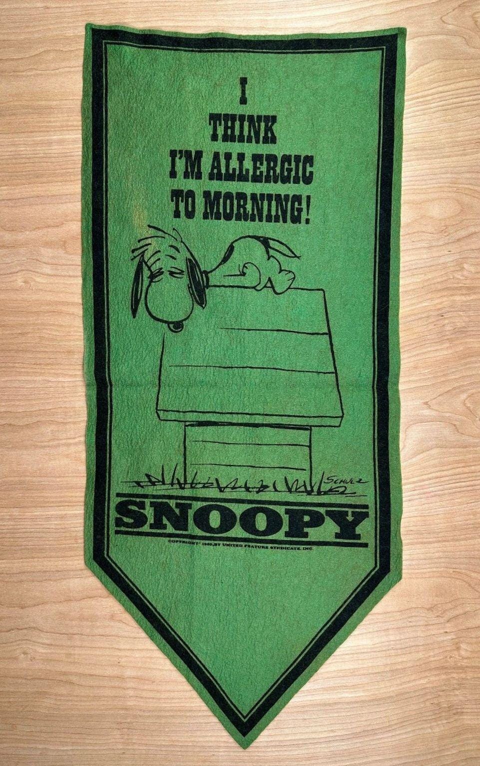 Vintage Peanuts Felt Banner - Etsy