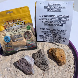 May include: Three dinosaur specimens including a bone from Wyoming, coprolite from Utah, and a gastrolith from Wyoming. The set includes a yellow Fossil Hunter's collection bag and an information card detailing the Late Jurassic era.