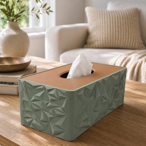 Könnte beinhalten: Ein rechteckiger Taschentuchbox-Behälter mit salbeigrüner Außenseite und einer geometrischen, facettierten Textur. Die Oberseite besteht aus einer glatten, flachen, hellbraunen Platte mit einer ovalen Öffnung, aus der ein weißes Tuch ragt.