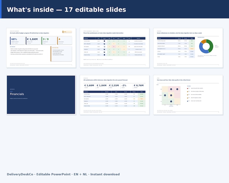 Op de afbeelding: Een digitale presentatiesjabloon met 17 bewerkbare dia's met de tekst What's inside - 17 editable slides. De dia's tonen diverse financi&euml;le gegevens, projectstatus-tabellen, cirkeldiagrammen en risicomatrices in blauw en wit.