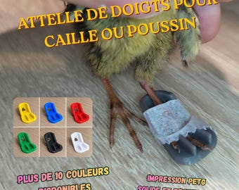 May include: A gray plastic splint attached to a chick's foot with white tape. Text reads: ATTELLE DE DOIGTS POUR CAILLE OU POUSSIN, PLUS DE 10 COULEURS DISPONIBLES, IMPRESSION PETG SOLIDE ET RESISTANTE. Includes a grid of six small colored splints.